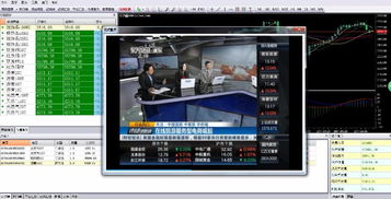 現(xiàn)貨交易軟件首選GTS軟件，公司主推產(chǎn)品優(yōu)惠多多，欲購從速